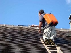 nettoyage de toiture à Les Sorinières